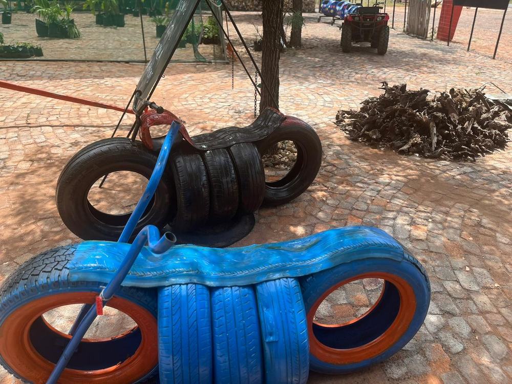 Colorful tire swing playground