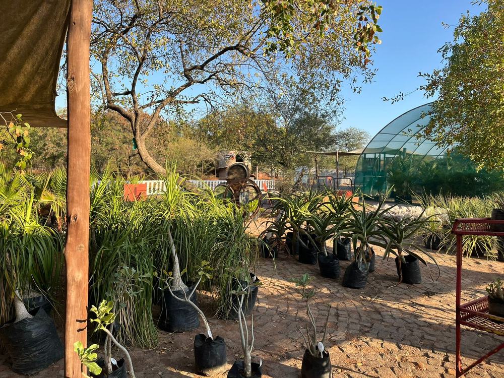 Farm nursery with plants