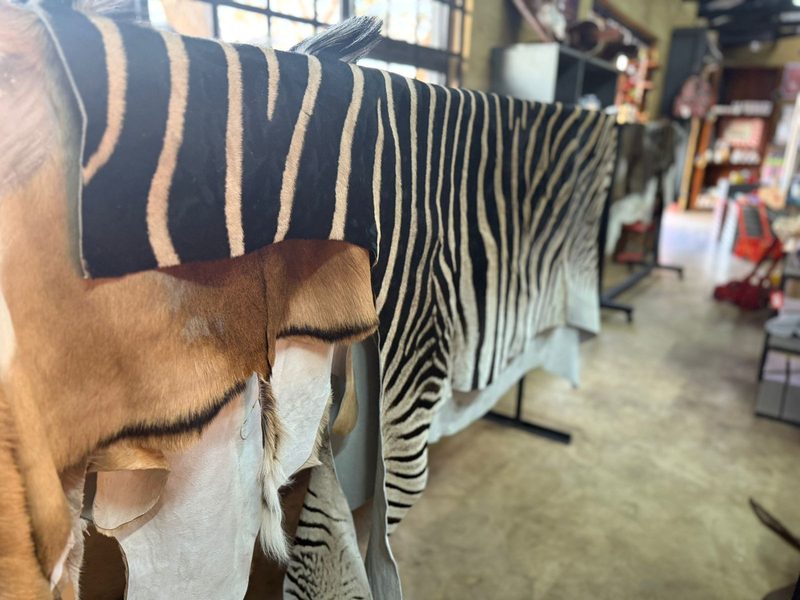 Animal Skins